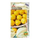 Семена Физалис, «Ананасовый», 0.1 г, «Агрос» - Фото 1