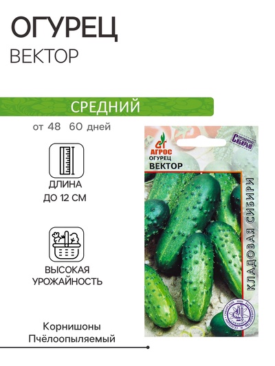 Семена Огурец «Вектор», 10 шт., «Агрос»