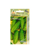 Семена Огурец, «Надюша», F1, 8 шт., Seminis, «Агрос» - Фото 5