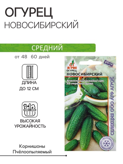 Семена Огурец «Новосибирский», 10 шт., «Агрос»