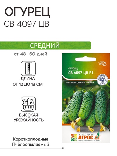 Семена Огурец, «СВ 4097 ЦВ», F1, 8 шт., Seminis, «Агрос»
