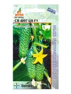 Семена Огурец, «СВ 4097 ЦВ», F1, 8 шт., Seminis, «Агрос» - Фото 7