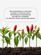 Семена Перец «Громада», 0.1 г, «Агрос» - Фото 4