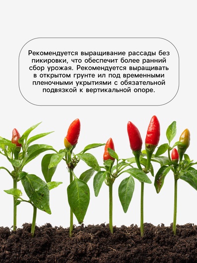 Семена Перец, «Каптур», F1, 5 шт., Seminis, «Агрос»