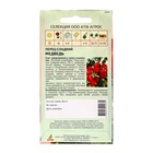 Семена Перец «Медведь», 0.1 г, «Агрос» - Фото 2