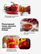 Семена Перец «Оранжевый принц», 0.1 г, «Агрос» - Фото 3