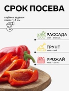 Семена Перец, «Флексум», F1, 5 шт., Seminis, «Агрос» - Фото 2