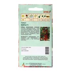 Семена Томат F1 «Кира», 5 шт., «Агрос» - фото 65438421