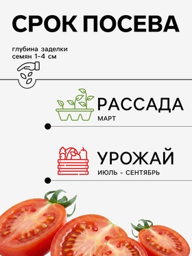 Семена Томат, «Матиссимо», F1, 5 шт., Seminis, «Агрос»