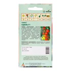 Семена Томат, «Одиль», F1, 10 шт., Seminis, «Агрос» (комплект 2 шт) - фото 65438454