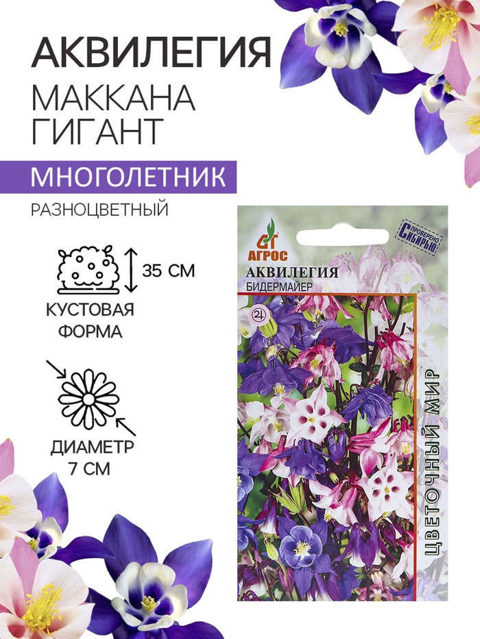 Семена аквилегия «Бидермайер», 0.1 г - Фото 1