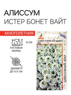 Семена Алиссум «Истер Бонет Вайт», 10 шт., «Агрос» - Фото 1