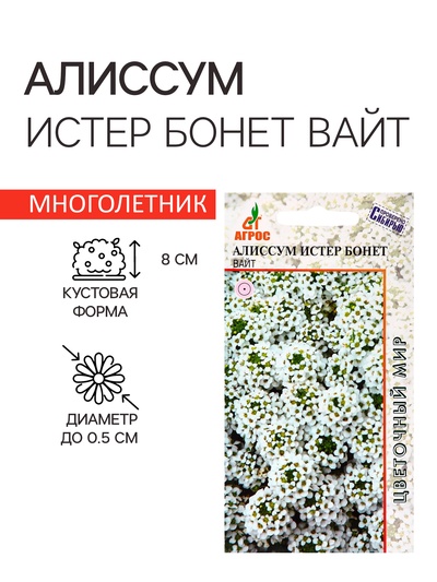 Семена Алиссум «Истер Бонет Вайт», 10 шт., «Агрос»