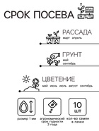 Семена Алиссум «Истер Бонет Вайт», 10 шт., «Агрос» - Фото 2