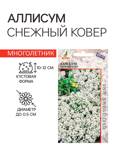 Семена цветов Алиссум «Снежный ковёр» 0.1 г