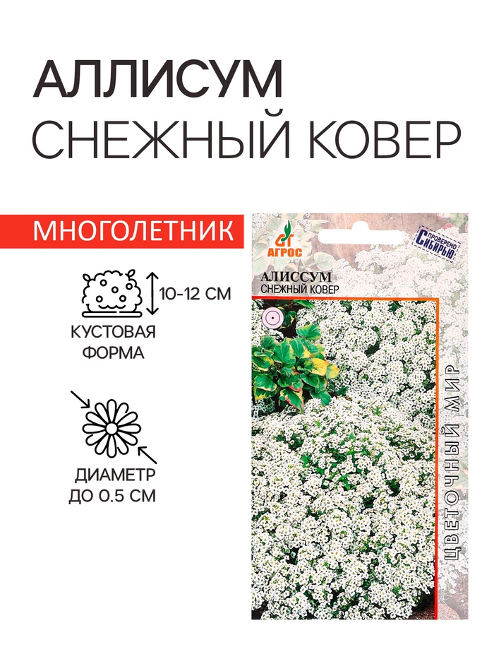 Семена цветов Алиссум «Снежный ковёр» 0.1 г - Фото 1
