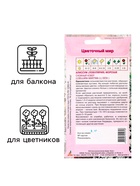 Семена цветов Алиссум «Снежный ковёр» 0.1 г - Фото 3
