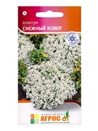 Семена цветов Алиссум «Снежный ковёр» 0.1 г - Фото 5