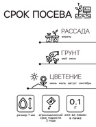 Семена Амарант «Метельчатый Пигми Торч», 0.1 г, «Агрос» - Фото 2