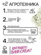 Семена Арабис Альпийский снежок 0.1г* (комплект 2 шт) - фото 34323536