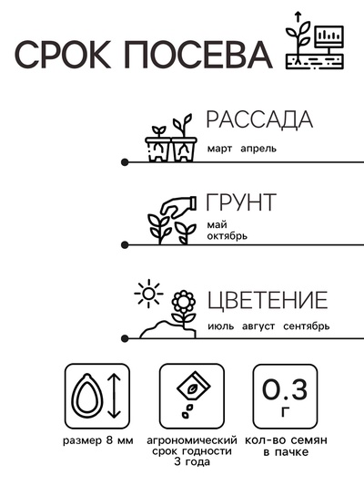 Семена Астра «Аполлония Блю», 0.3 г, «Агрос»