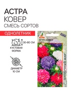 Семена Астра Ковёр Радуга 0.3г* - Фото 3