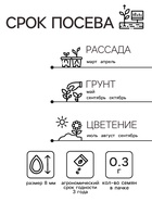 Семена Астра «Принцесса Кристина», 0.3 г, «Агрос» - Фото 2