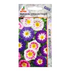 Семена Вьюнок трехцветный «Тилл», 0.5 г, «Агрос» - Фото 1