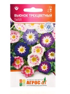 Семена Вьюнок трехцветный «Тилл», 0.5 г, «Агрос» - Фото 1