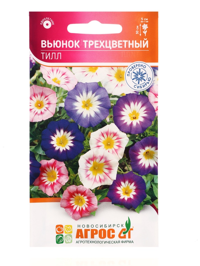 Семена Вьюнок трехцветный «Тилл», 0.5 г, «Агрос» - Фото 1