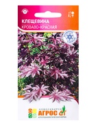 Семена Клещевина «Кроваво-красная», 4 шт., «Агрос»  (артикул 10840255)  большой выбор товаров оптом и в розницу по низким ценам с доставкой