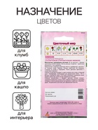 Семена Нивяник «Серебряная принцесса», 0.1 г, «Агрос» - Фото 3