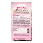 Семена Сальвия «Хорминум Монарх», 0.2 г, «Агрос» - Фото 2