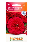Семена Цинния «Изящная Вишневая Королева», 0.5 г, «Агрос» - Фото 7