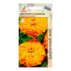 Семена Цинния «Изящная Золотой Рассвет», 0.5 г, «Агрос» - Фото 1