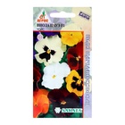 Семена Виола «Пауэ Чойс», F1, 8 шт., Sakata, «Агрос» - Фото 1