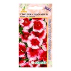 Семена Гвоздика Диамант, F1, «Кримсон Пикоти», 10 шт., Sakata, «Агрос» - Фото 1