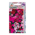 Семена Гвоздика Диамант, F1, смесь, 10 шт., Sakata, «Агрос» - Фото 1