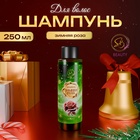 Шампунь для волос «Secret Beauty», аромат зимней розы, 250 мл 10850205 - фото 13991249