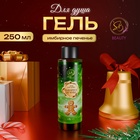 Гель для душа «Secret Beauty», аромат имбирного печенья, 250 мл 10850208 - фото 13991255