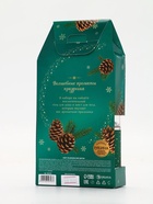 Подарочный набор новогодний «Волшебные истории»: гель для душа 300 мл и мист для тела 88 мл, URAL LAB - фото 119106822