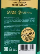 Подарочный набор новогодний «Волшебные истории»: гель для душа 300 мл и мист для тела 88 мл, URAL LAB - фото 119106818