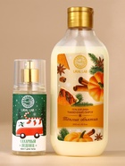 Подарочный набор новогодний «Тёплые объятия»: гель для душа 300 мл и мист для тела 88 мл, URAL LAB - фото 59830613