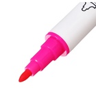 УЦЕНКА Набор маркеров 12 цветов, двусторонние, пулевидный и скошенный наконечники - Фото 10