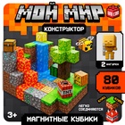 Конструктор «Магнитные кубики. Мой мир», 2 фигурки, 80 деталей - Фото 1