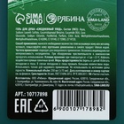 Гель для душа «Будь первым», 250 мл, аромат лайма, Чистое счастье 10717898 - фото 3285410