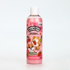 Шампунь для собак и кошек, 250 мл, с ароматом фруктов в карамели - Фото 1