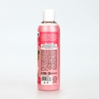 Шампунь для собак и кошек, 250 мл, с ароматом фруктов в карамели - Фото 2