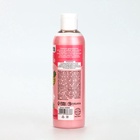 Шампунь для собак и кошек, 250 мл, с ароматом фруктов в карамели - Фото 6