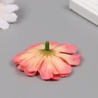 Бутон на ножке для декорирования "Многослойная ромашка бело-розовая" 6х6 см 10709994